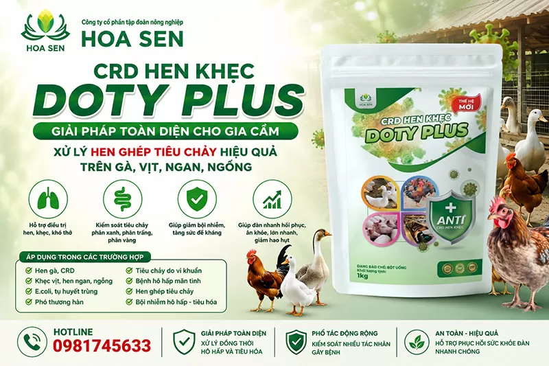 DOTY PLUS