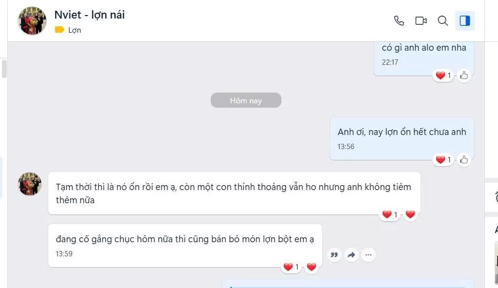 ALBUM FEEDBACK – CẢM NHẬN KHÁCH HÀNG VỀ SẢN PHẨM HOA SEN VET