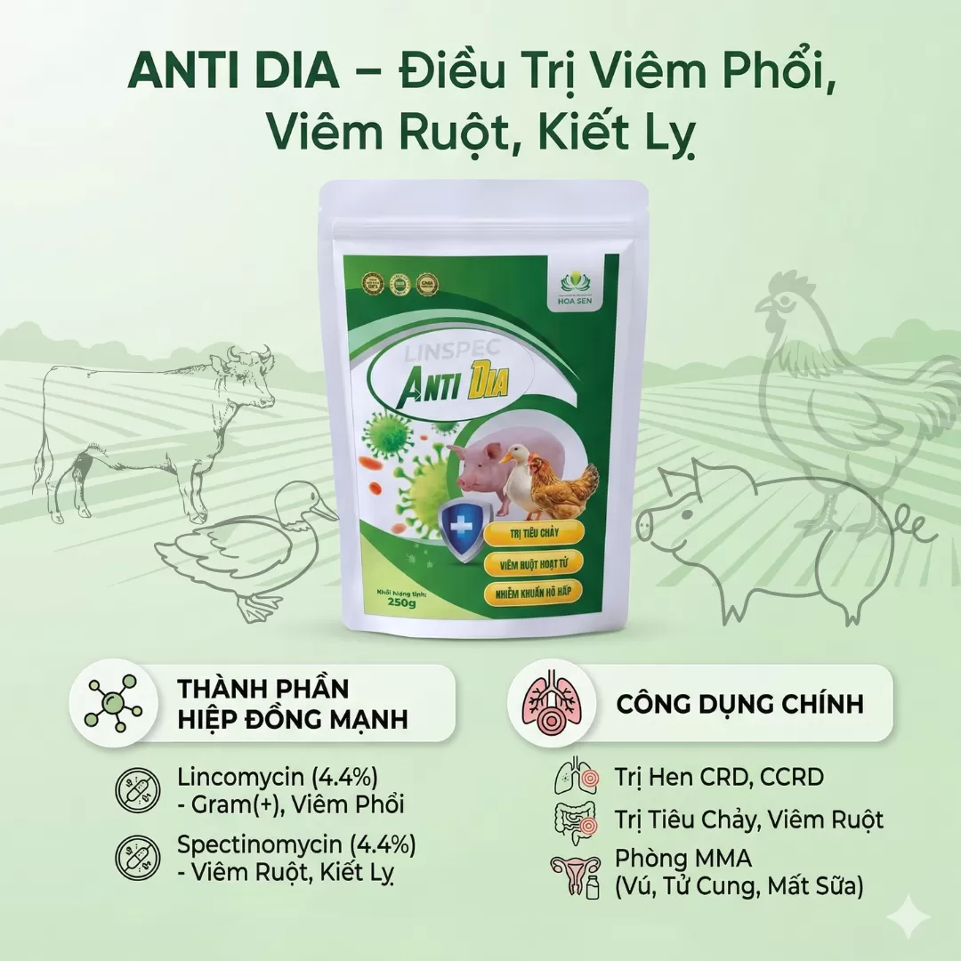 Anti Dia
