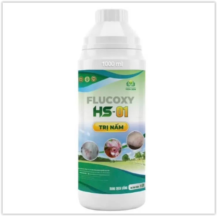 HS-01 – Flucoxy - Đặc trị nấm bệnh, bảo vệ sức khỏe vật nuôi toàn diện