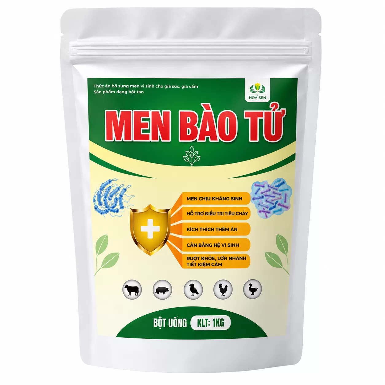 MEN BÀO TỬ -GIẢI PHÁP HỖ TRỢ TIÊU HÓA – CÂN BẰNG HỆ VI SINH – ĐỒNG HÀNH CÙNG KHÁNG SINH