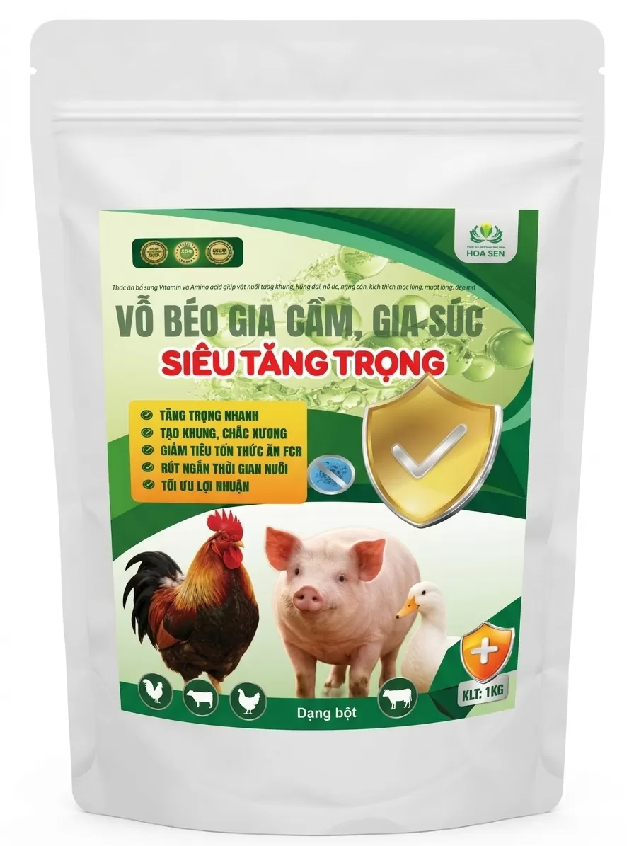 SIÊU TĂNG TRỌNG – Giải pháp tăng trưởng và nâng cao sức đề kháng toàn diện