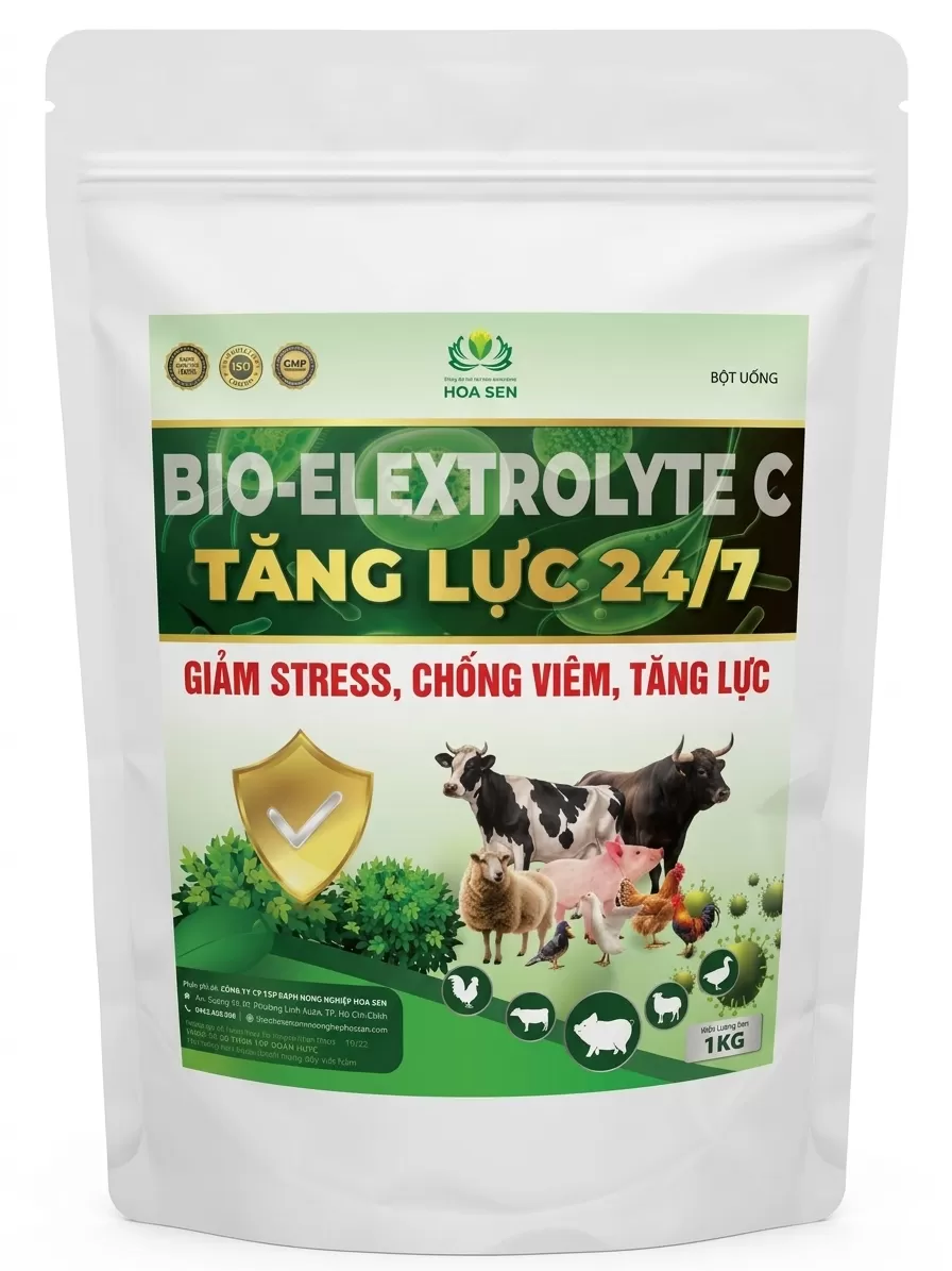 TĂNG LỰC 24/7 – Giảm Stress, Chống Viêm, Hạ Nhiệt Nhanh, Tăng Lực