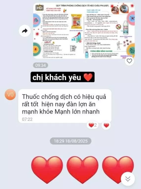ALBUM FEEDBACK – CẢM NHẬN KHÁCH HÀNG VỀ SẢN PHẨM HOA SEN VET
