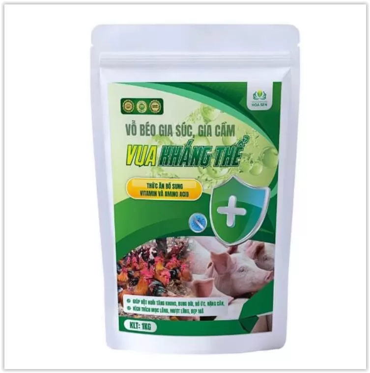 VUA KHÁNG THỂ – Tăng sức đề kháng, cải thiện năng suất gia súc, gia cầm