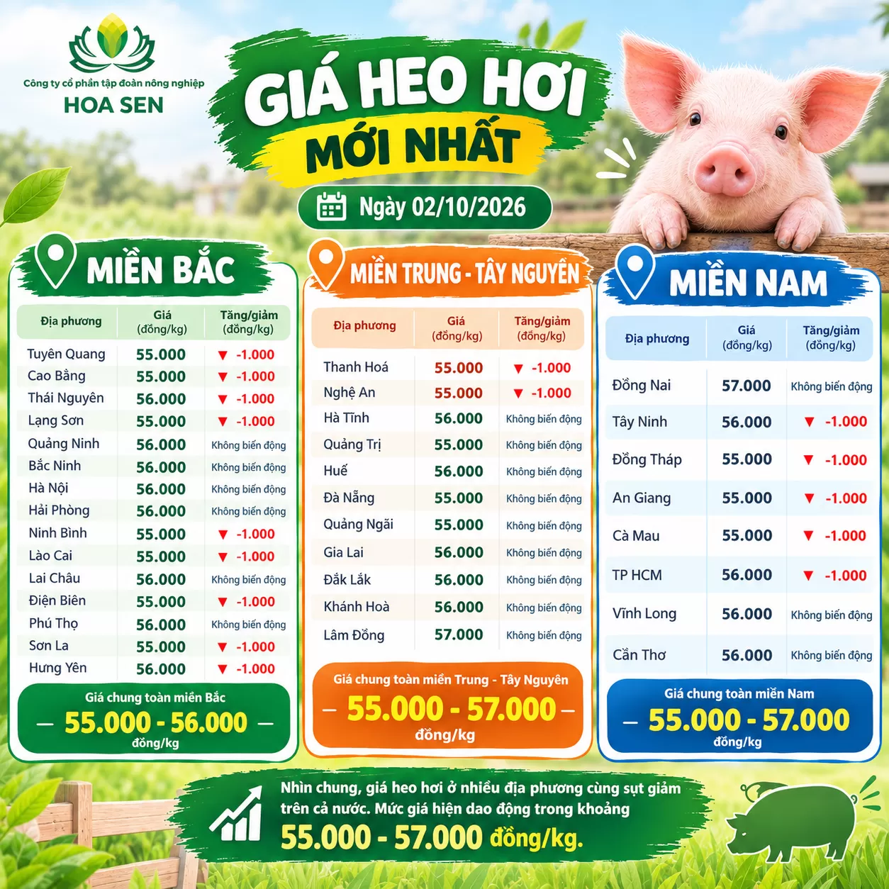 Giá Heo Hơi Mới Nhất Ngày 28/09/2026
