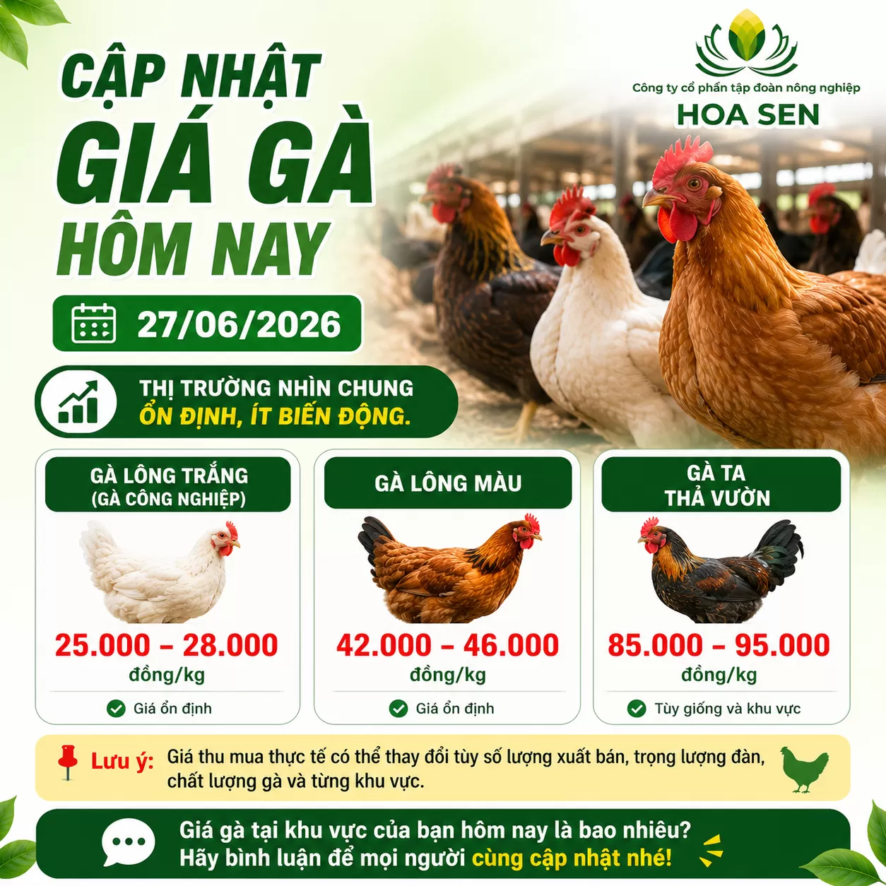 Giá gà 27/06/2026