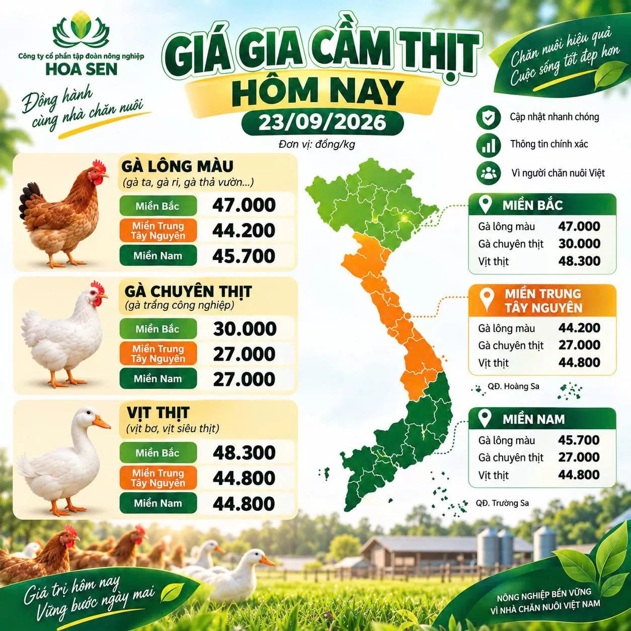 Giá Gia Cầm Mới NHất Ngày Hôm Nay - 23/09/2026