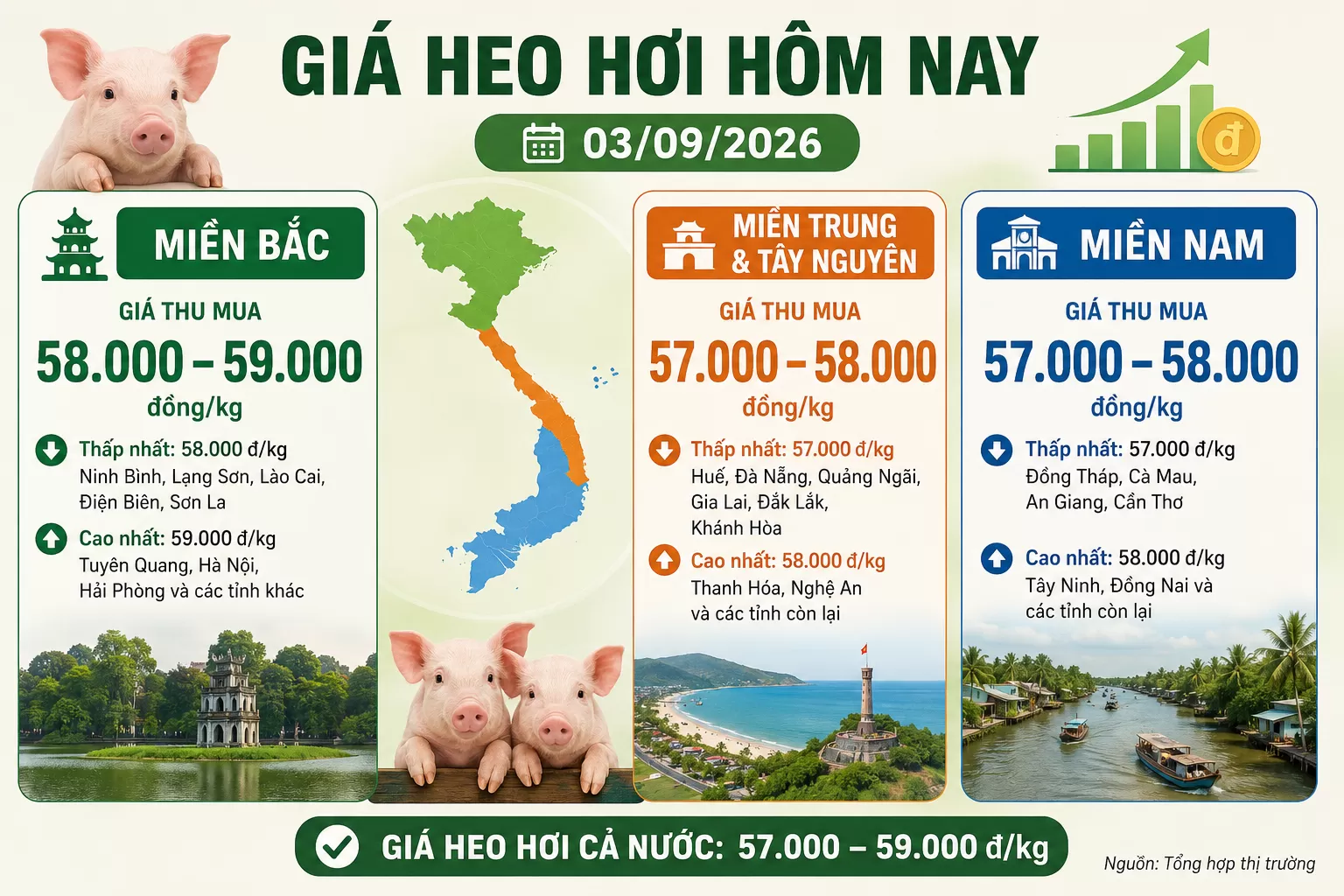 Giá heo hơi hôm nay: 03/09/2026