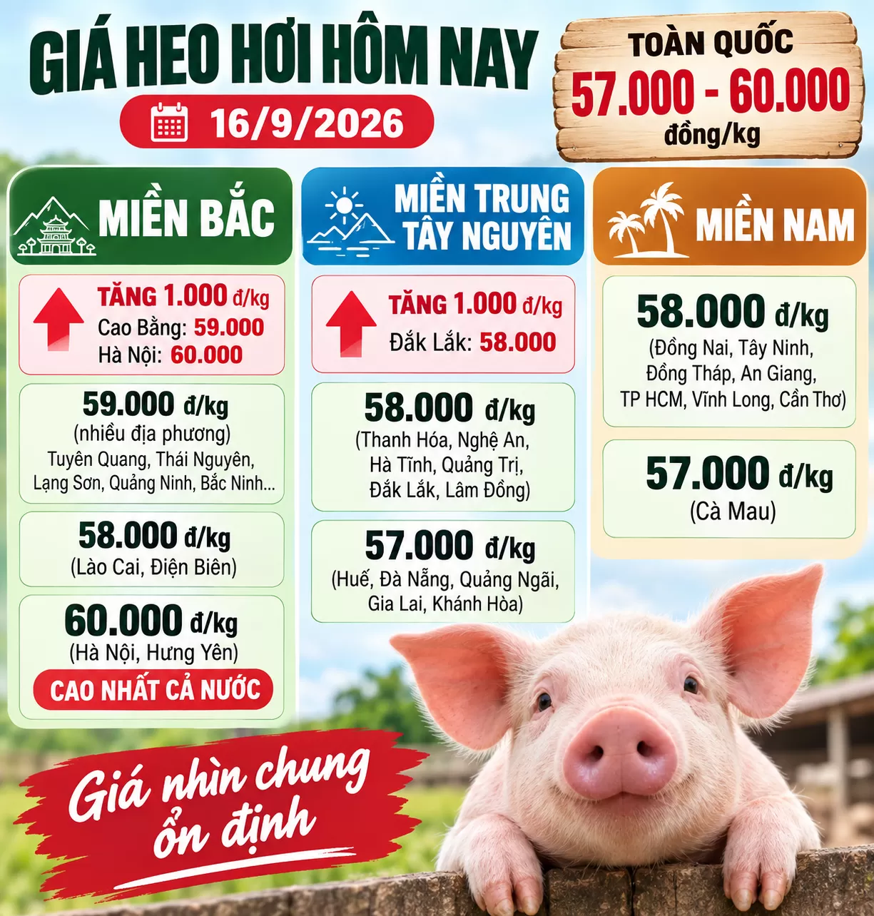 Giá heo hơi hôm nay: ngày 09/06/2026