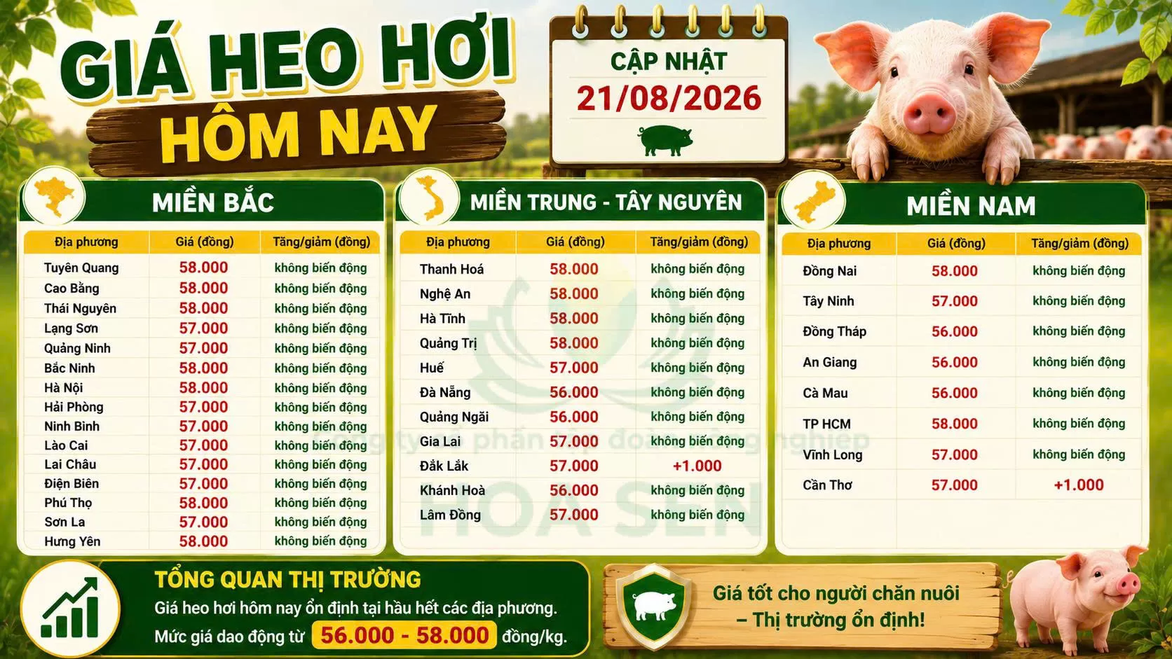 Giá Heo hôm nay : 21/08/2026
