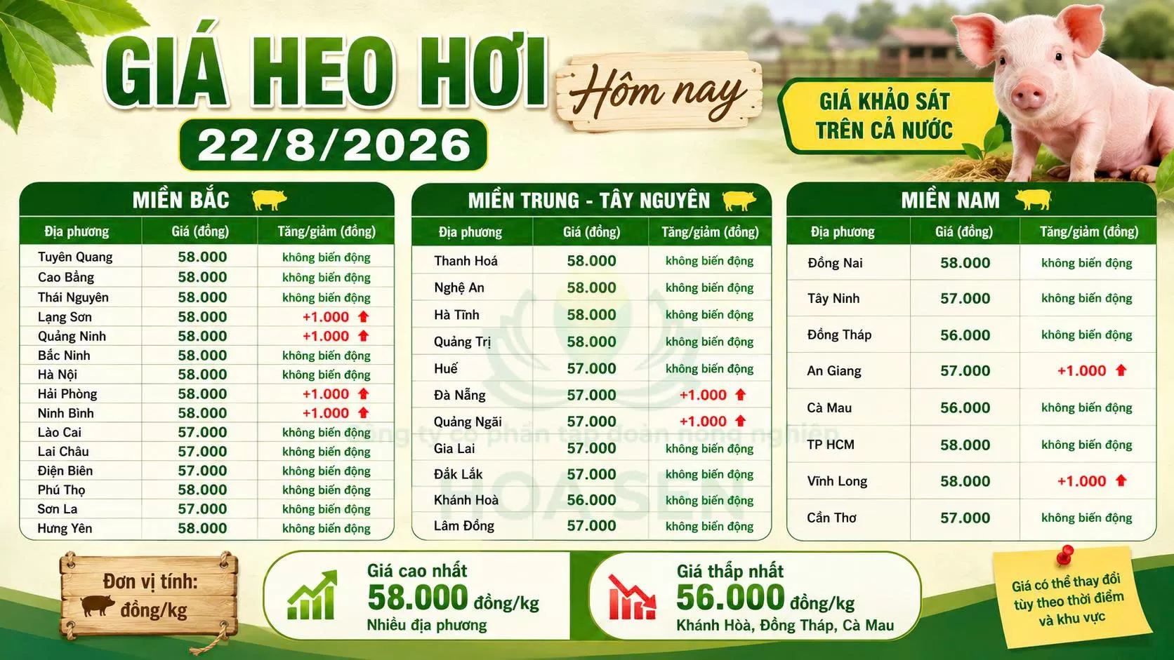 Giá Heo hôm nay : 22/08/2026