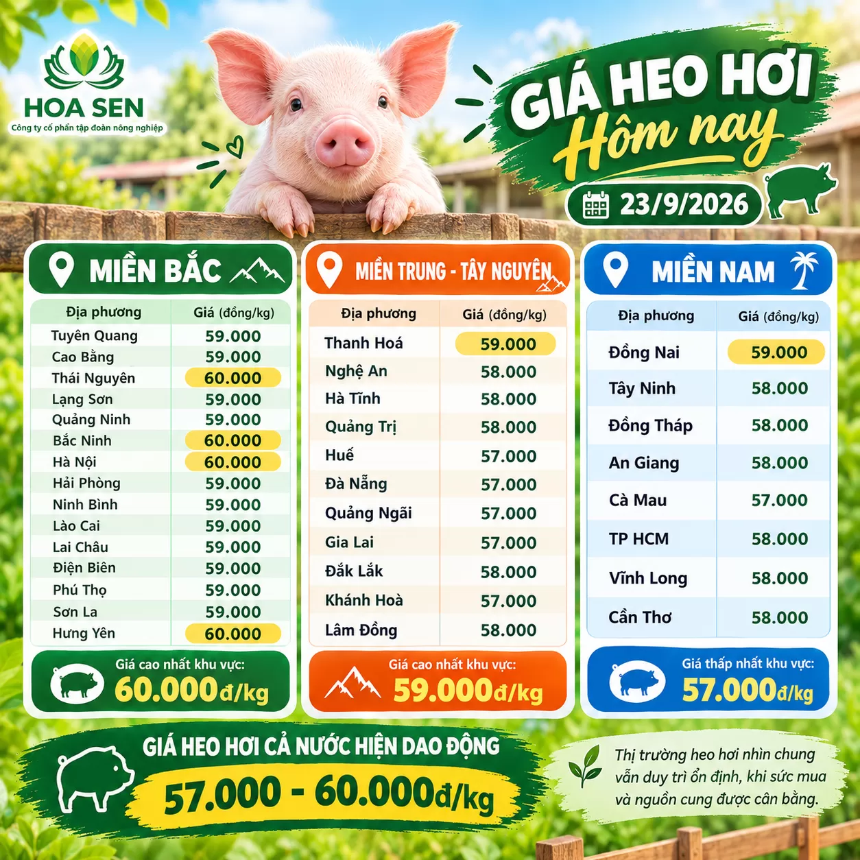 Giá Heo Mới Nhất Ngày Hôm Nay - 23/09/2026