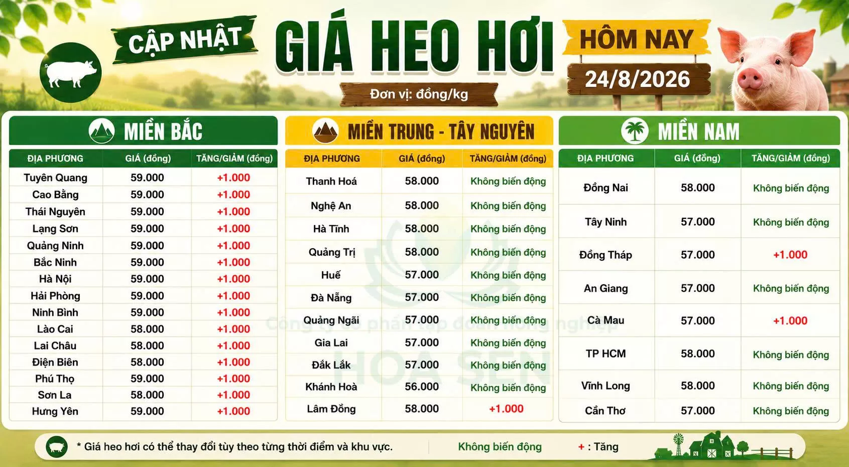 Giá Heo hôm nay : 24/08/2026