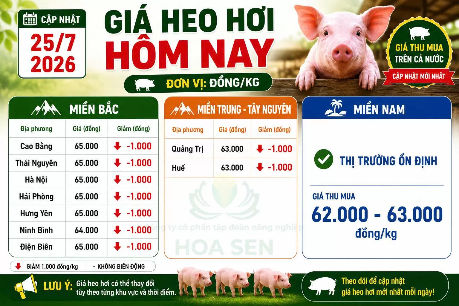 Giá heo ngày 25/07/2026