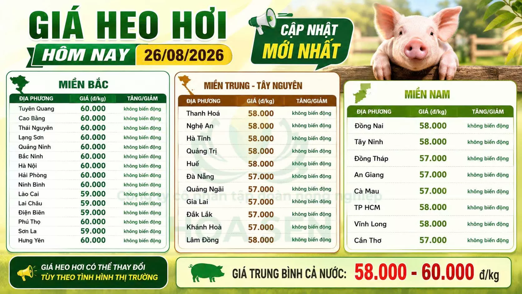 Giá heo hôm nay: 26/08/2026