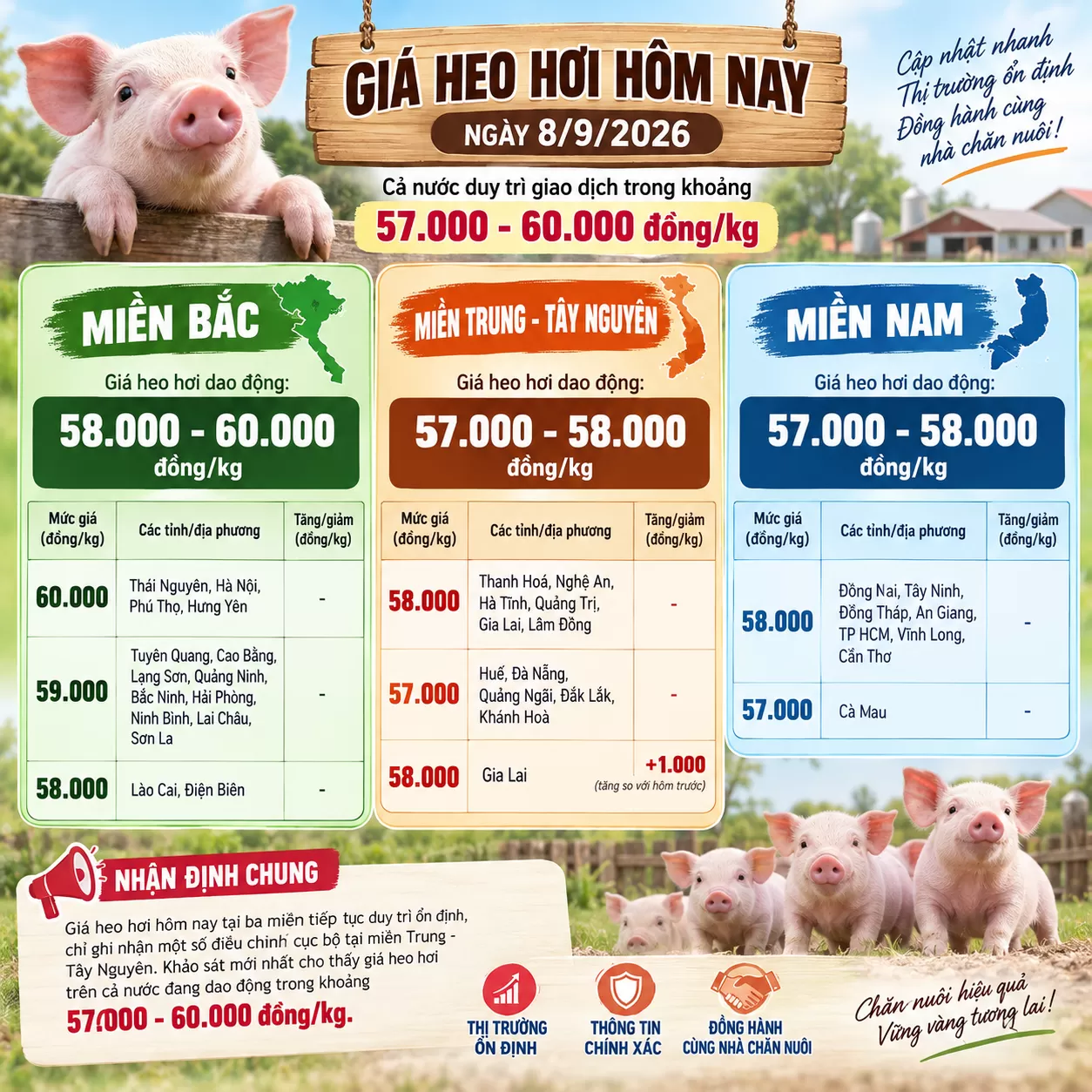 Giá heo hơi hôm nay: Ngày 08/09/2026