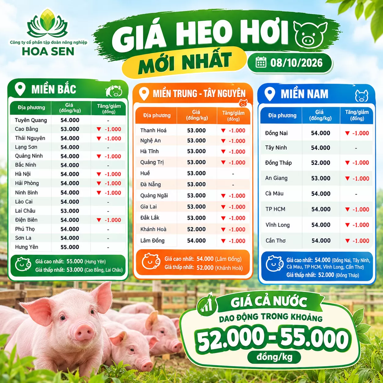 Giá Heo Hơi mới nhất ngày 08/10/2026