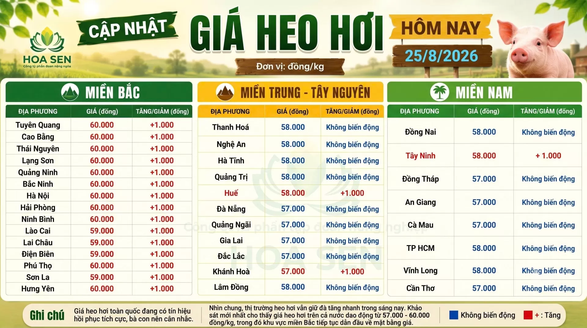 Giá heo hôm nay:  25/08/2026