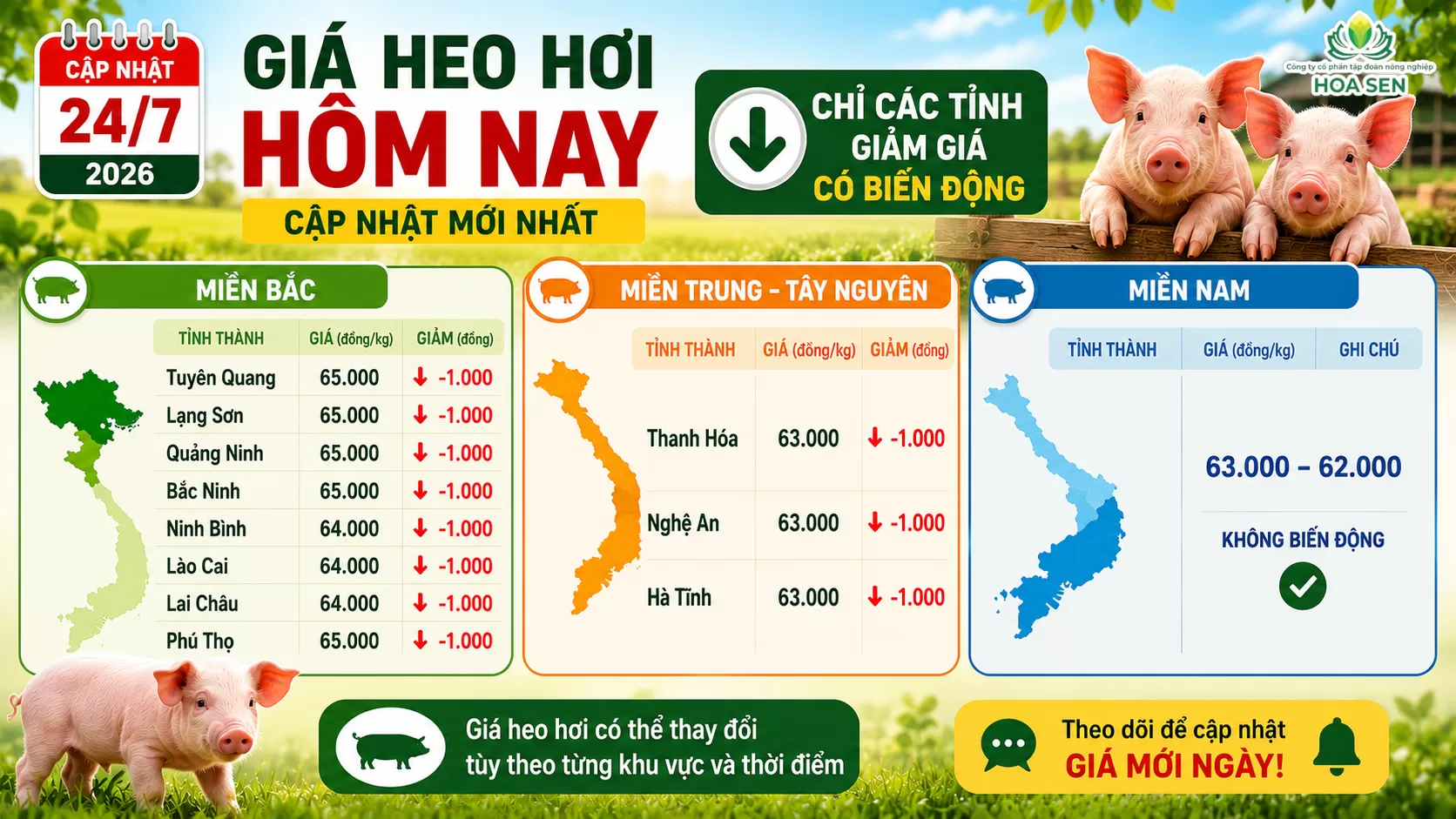 Giá Heo hôm nay : 24/07/2026