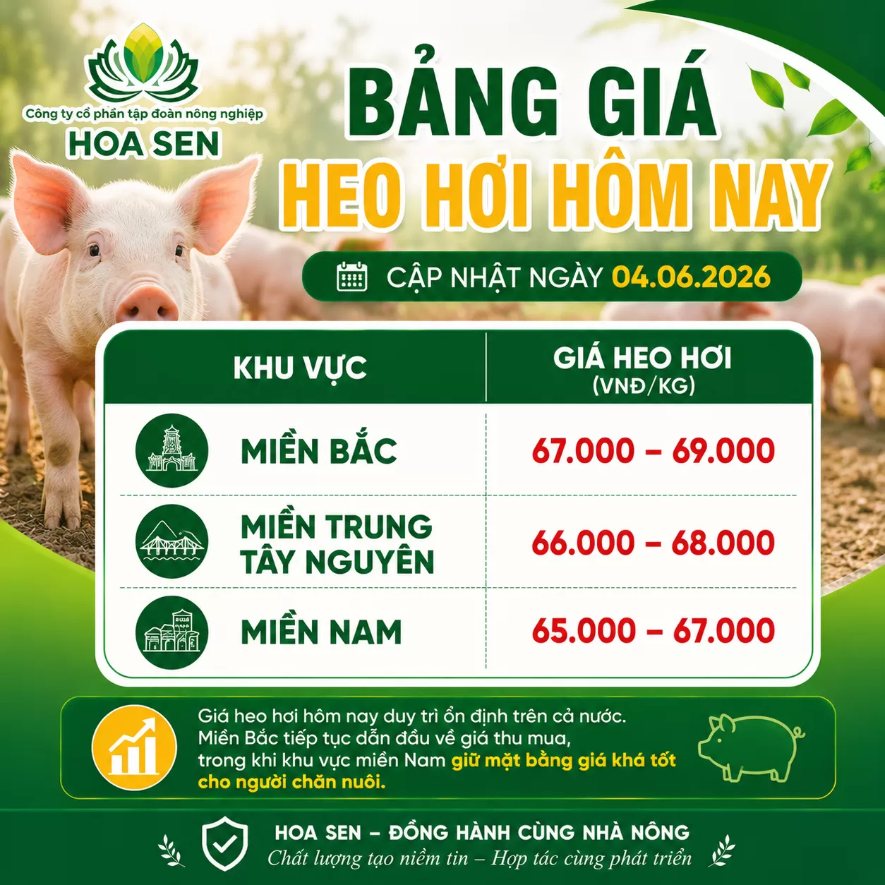 Giá Heo hôm nay : 04/06/2026