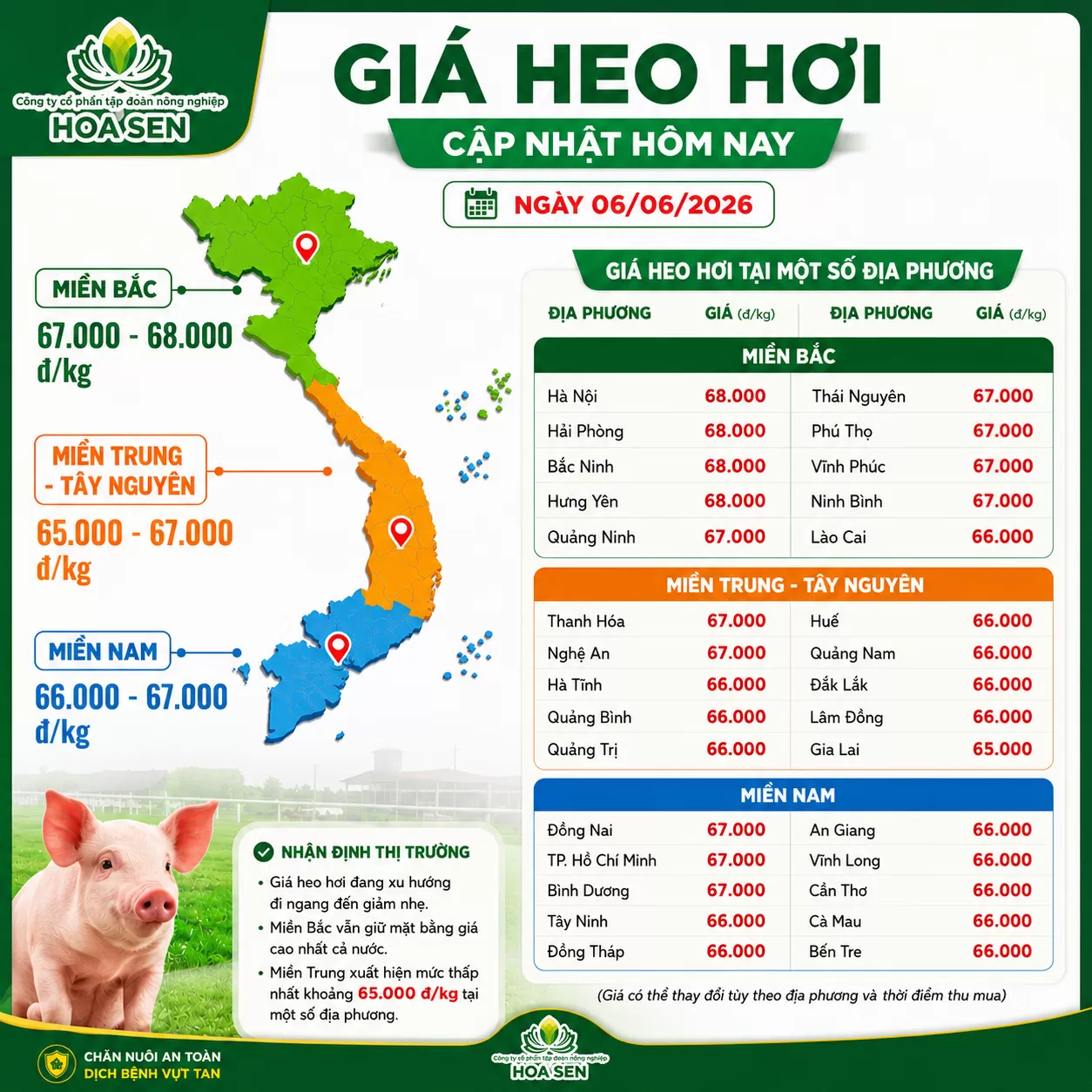 Giá Heo hôm nay : 06/06/2026