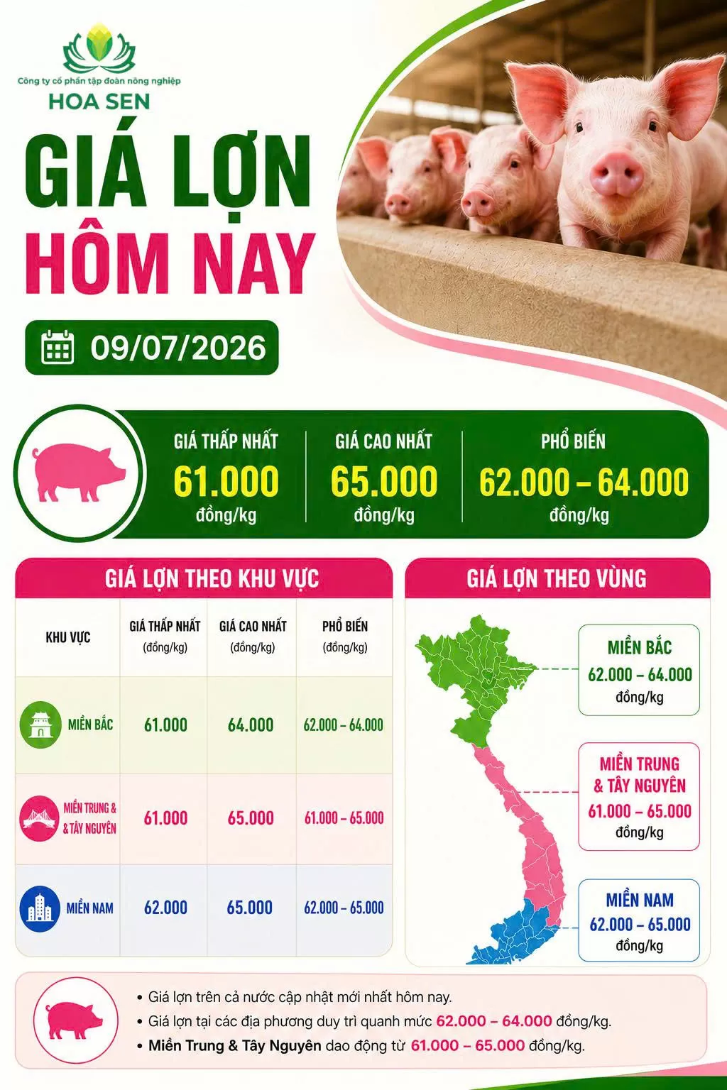 Giá Heo hôm nay : 09/07/2026