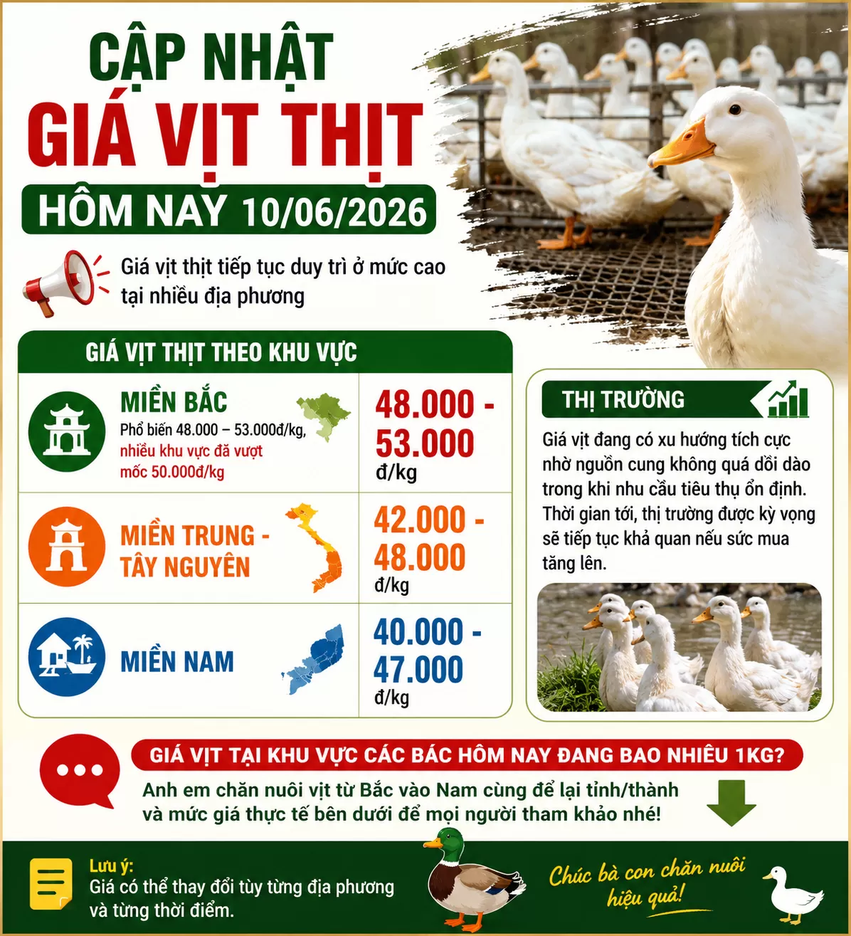 Giá vịt hôm nay : 10/06/2026