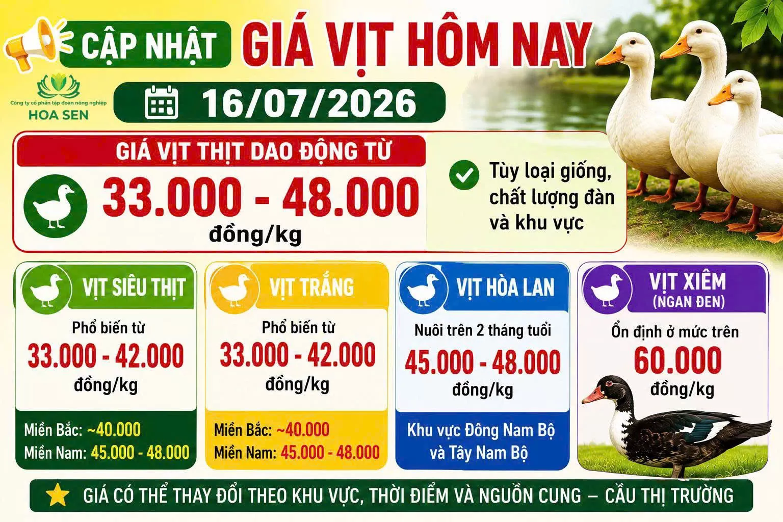 Giá vịt hôm nay : 16/07/2026
