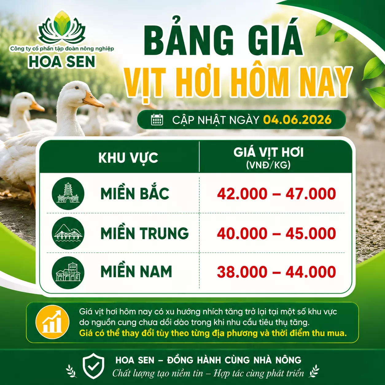 Giá vịt ngày 04/06/2026