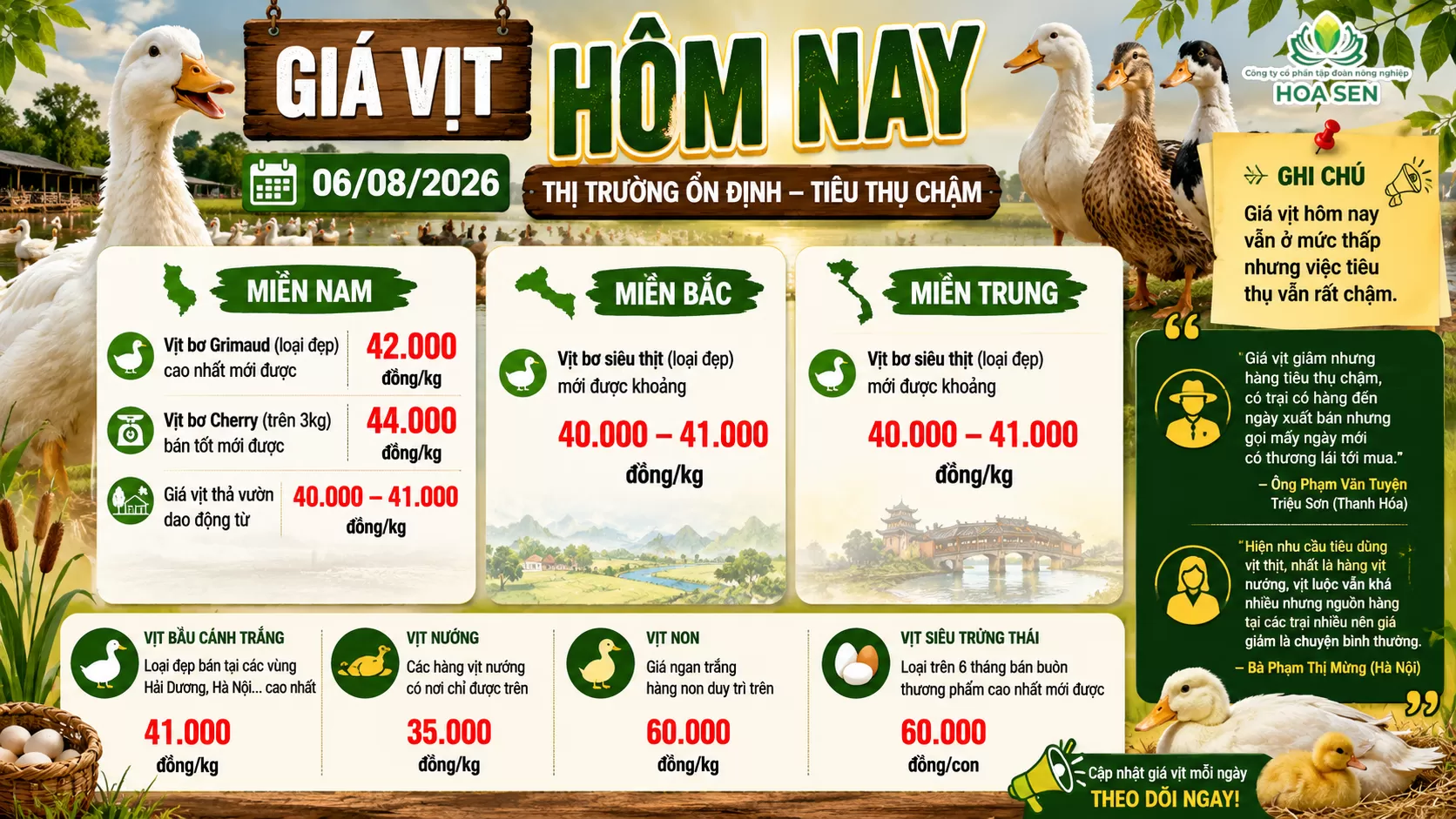 Giá vịt 06/08/2026