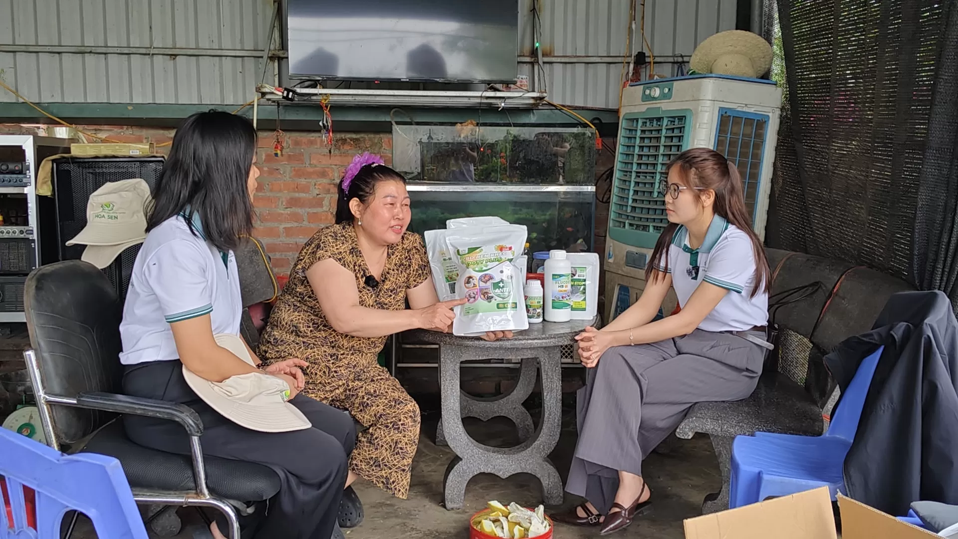 Cảm nhận sử dụng DOTY PLUS chữa thành công hen khẹc cho trại gà 5000 con tại Hải Dương