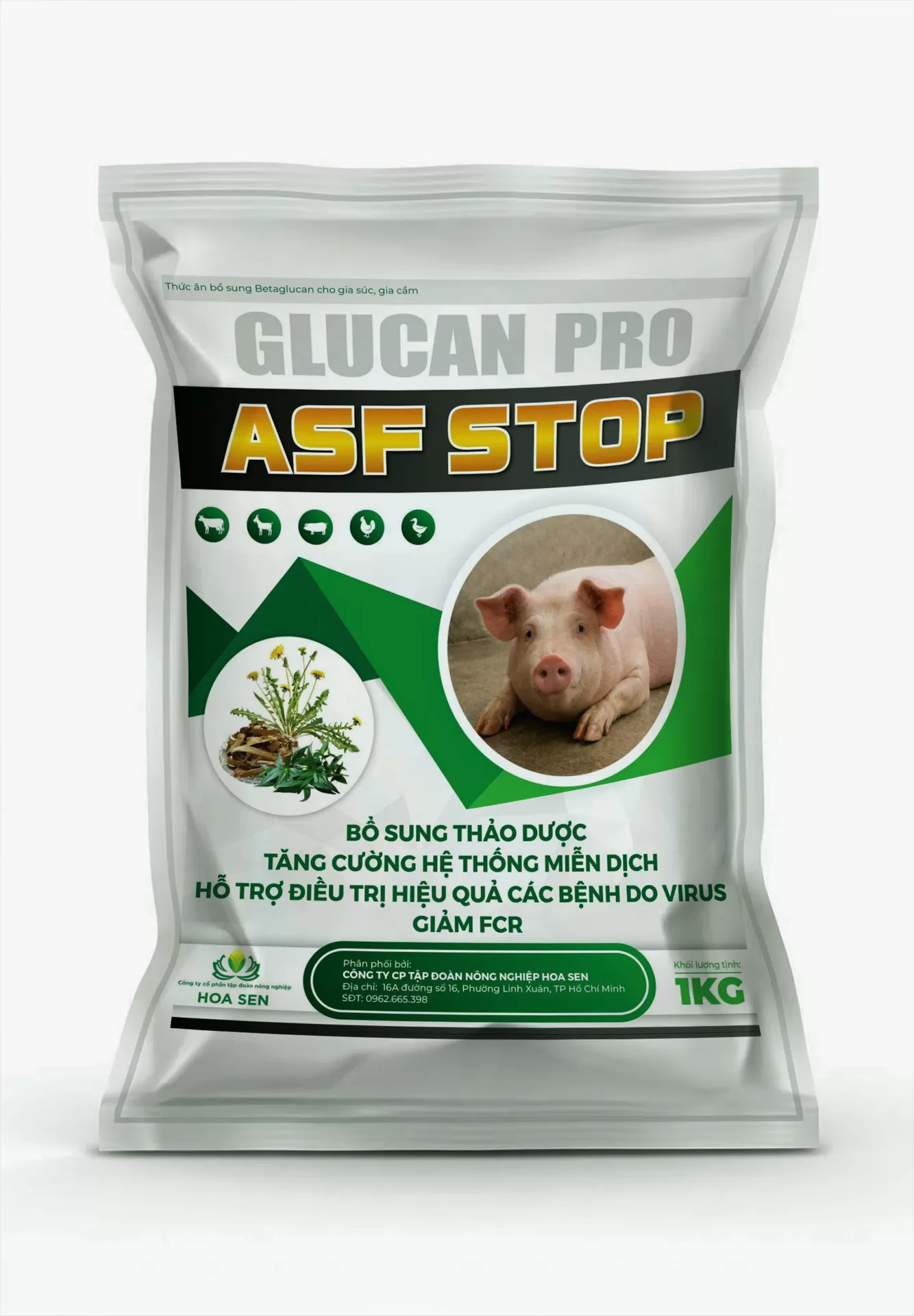GLUCAN PRO ASF STOP – Tăng miễn dịch, chống virus, vi khuẩn, giảm hao hụt đàn