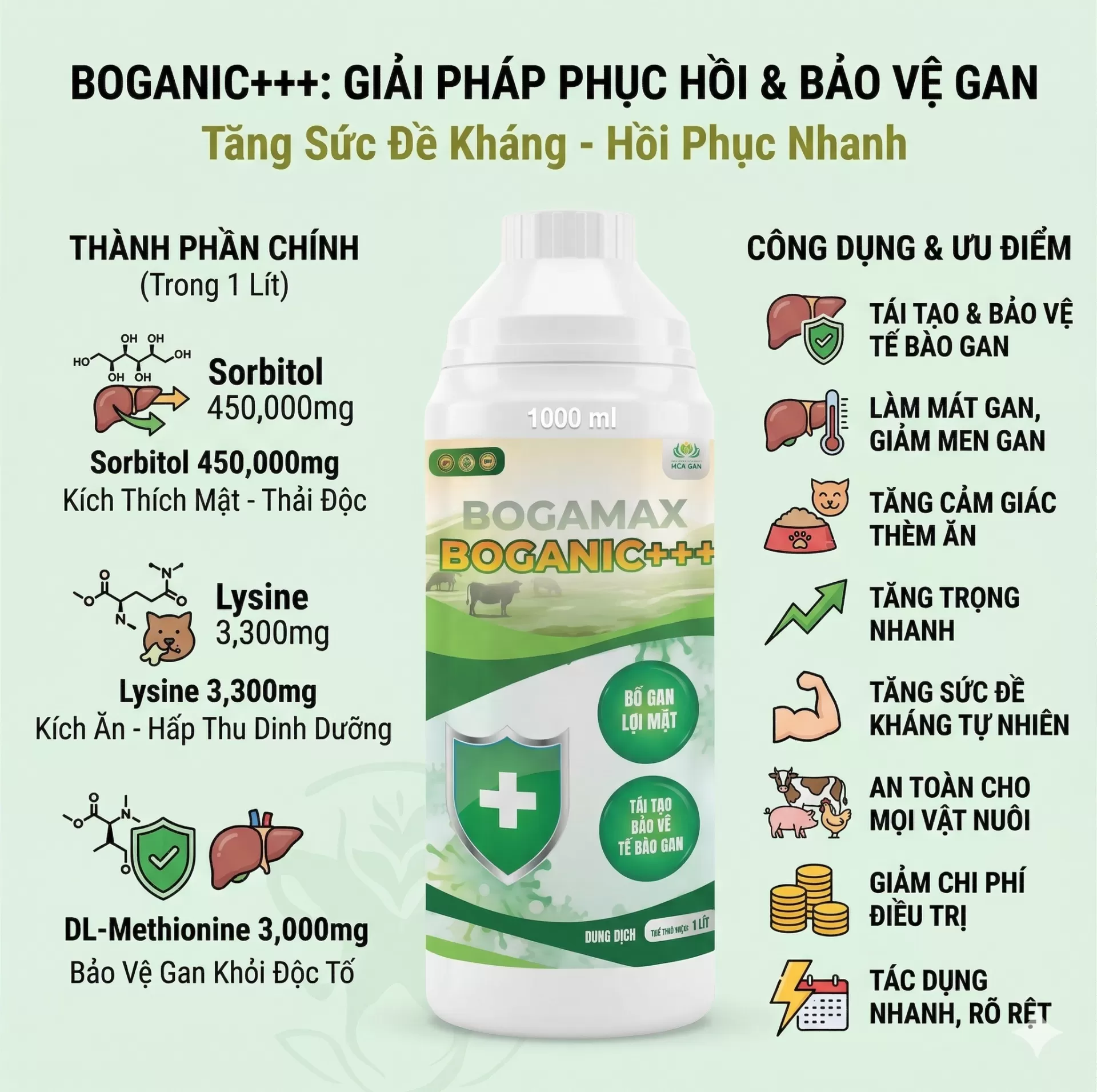 Bổ gan