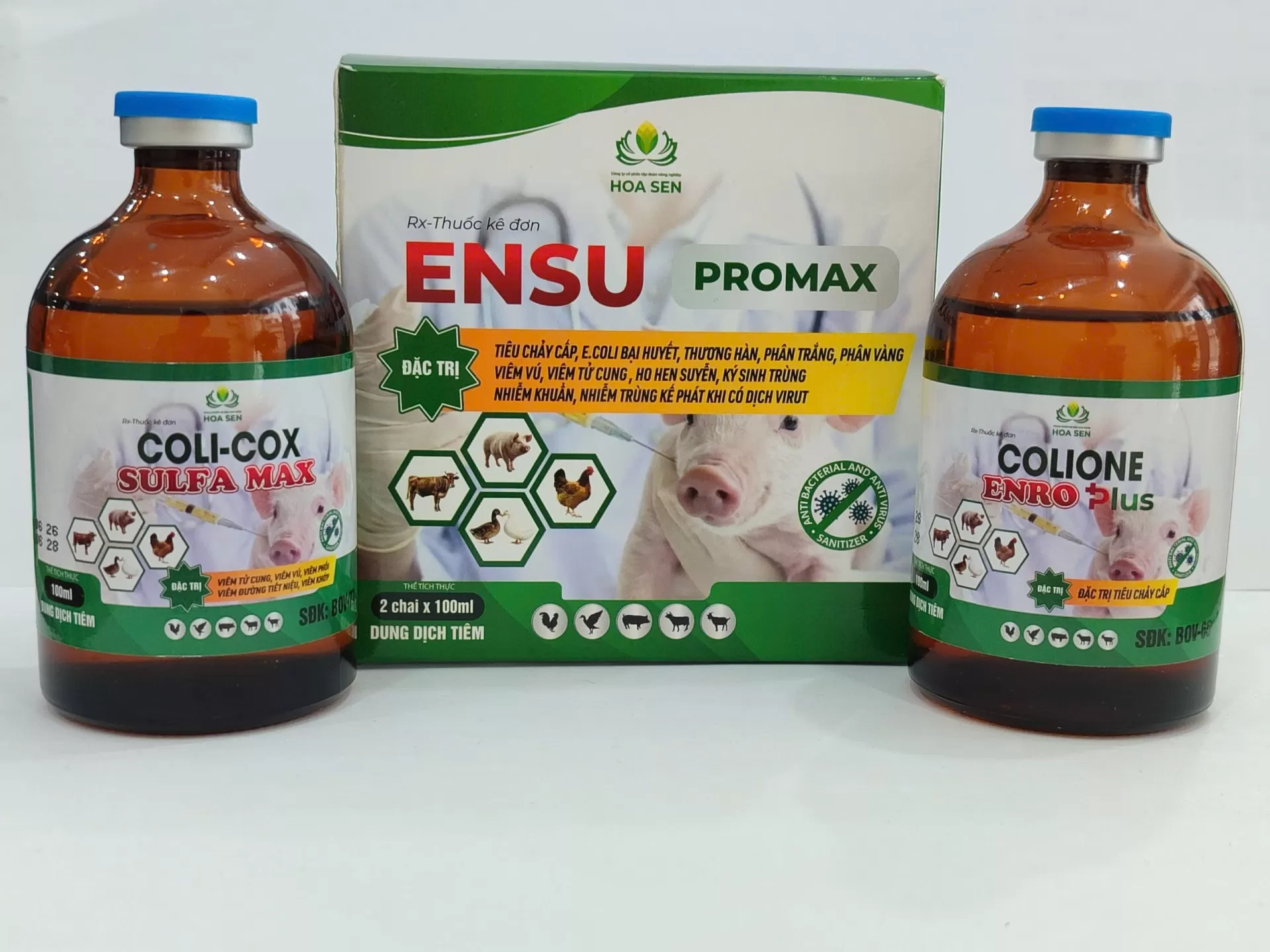 ENSU PROMAX – Bộ đôi tiêm đặc trị tiêu chảy, e.coli, viêm khớp, hô hấp