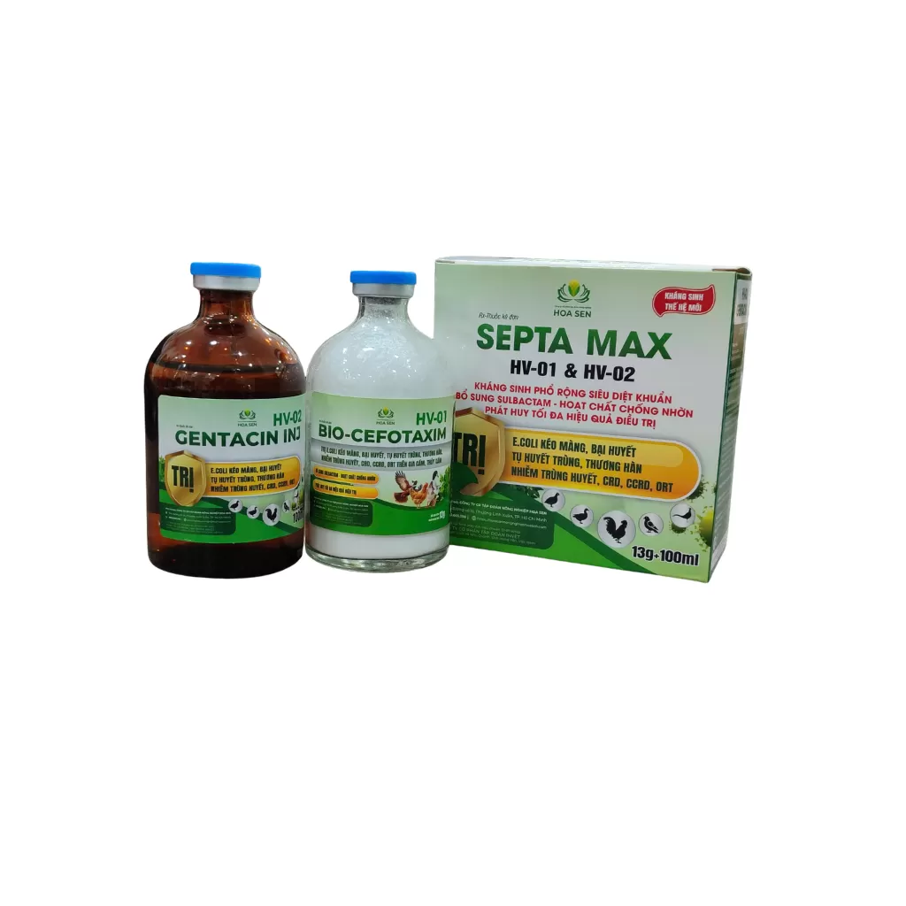 SEPTA MAX – Hen, bại huyết không còn lo, đàn phục hồi nhanh, đạt lợi nhuận