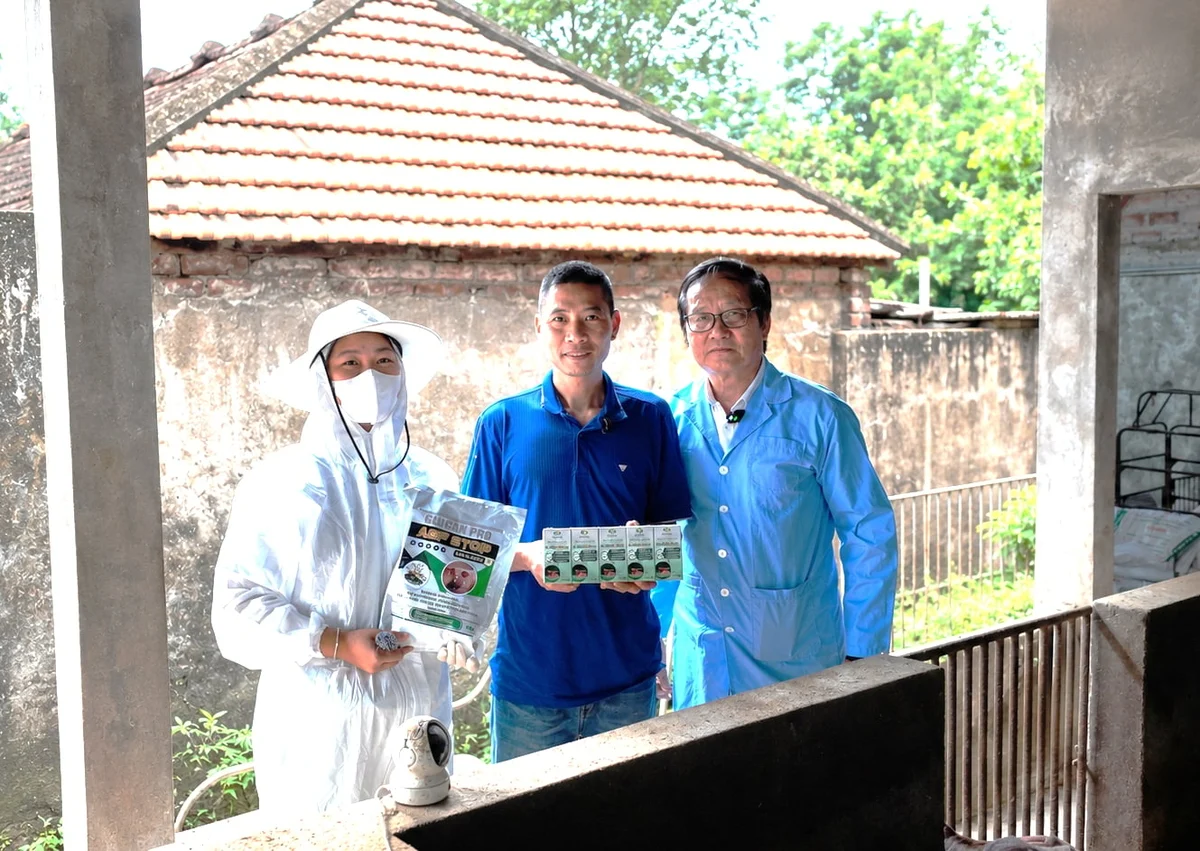 Báo Nông nghiệp và môi trường - F35-NANO TULA++: ‘Lá chắn kháng sinh’ giúp đàn heo vượt bão dịch bệnh