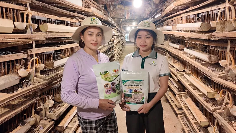 Người Chăn Nuôi - Bệnh hen ghép tiêu chảy trên gia cầm: Thách thức lớn trong chăn nuôi hiện đại và giải pháp xử lý toàn diện