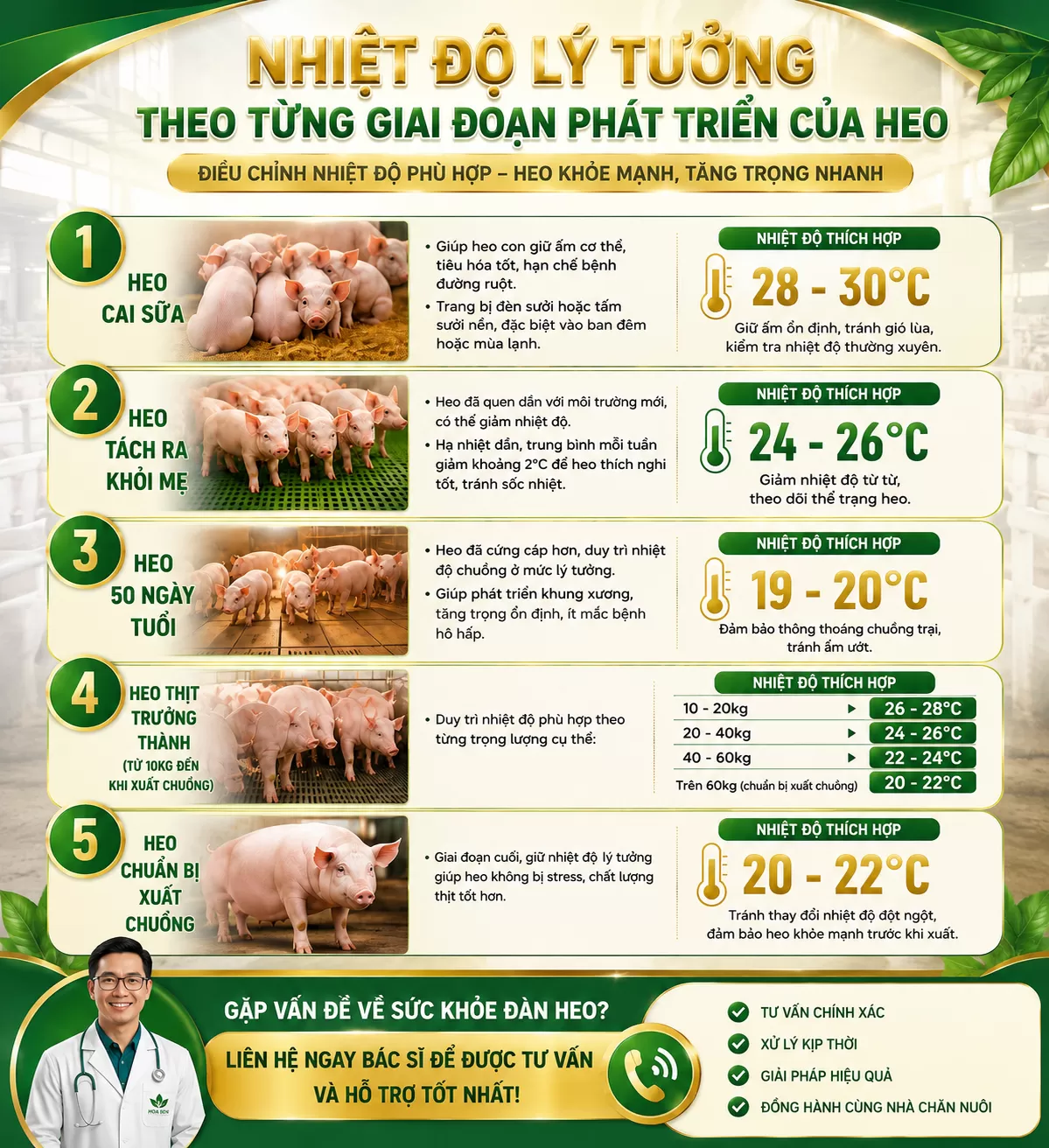 QUẢN LÝ NHIỆT ĐỘ TRONG TRẠI HEO – YẾU TỐ QUYẾT ĐỊNH SỨC KHỎE VÀ TĂNG TRỌNG ĐÀN HEO